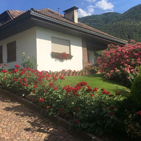 Weingut Zundlhof Villa Bolzano Kültér fotó